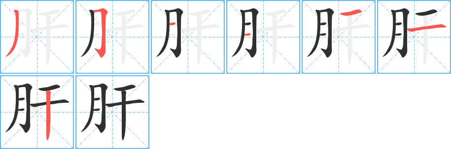《肝》的笔顺分步演示（一笔一画写字）