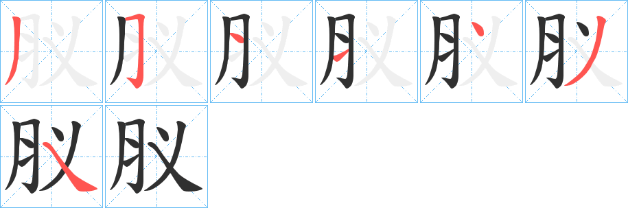 《肞》的笔顺分步演示（一笔一画写字）
