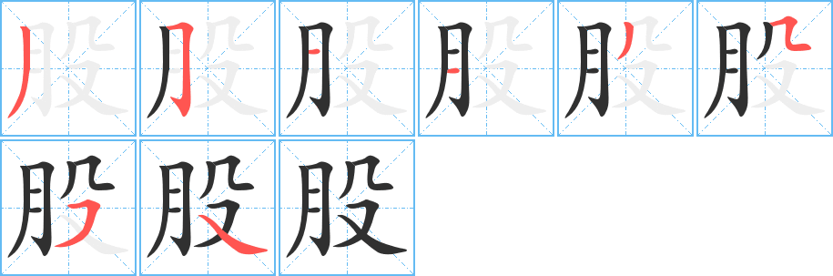《股》的笔顺分步演示（一笔一画写字）