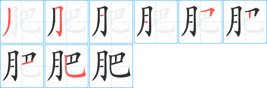 《肥》的笔顺分步演示（一笔一画写字）