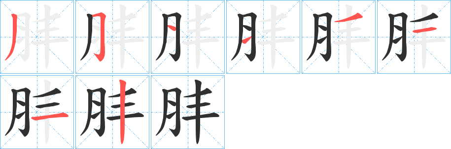 《肨》的笔顺分步演示（一笔一画写字）