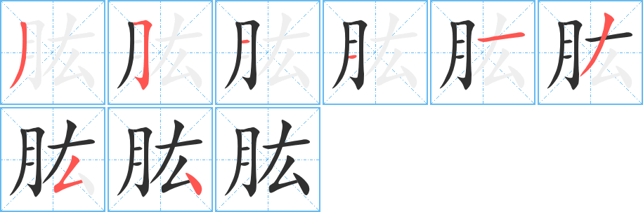 《肱》的笔顺分步演示（一笔一画写字）