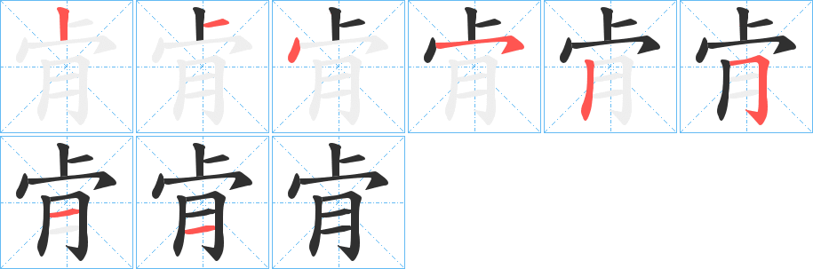 《肻》的笔顺分步演示（一笔一画写字）