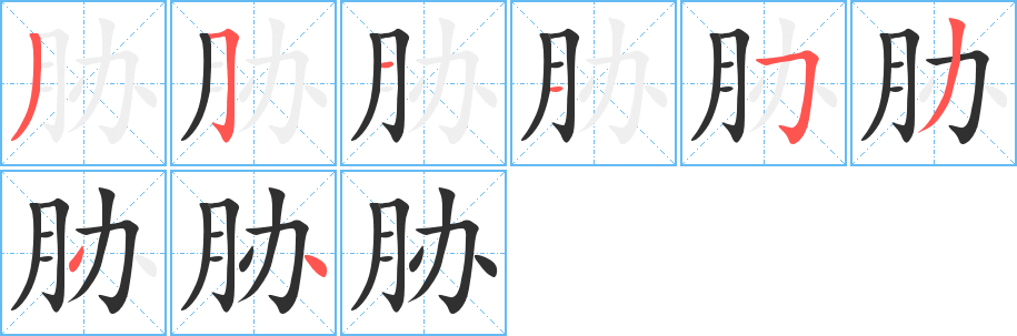 《胁》的笔顺分步演示（一笔一画写字）
