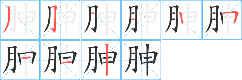 《胂》的笔顺分步演示（一笔一画写字）