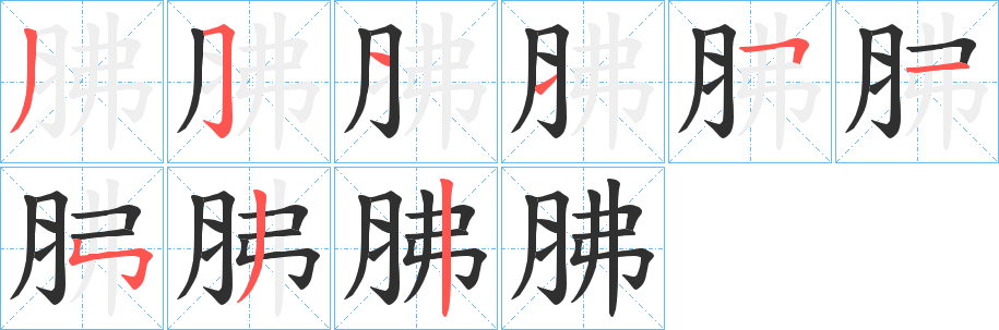 《胇》的笔顺分步演示（一笔一画写字）