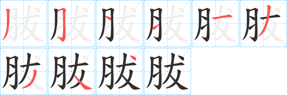 《胈》的笔顺分步演示（一笔一画写字）