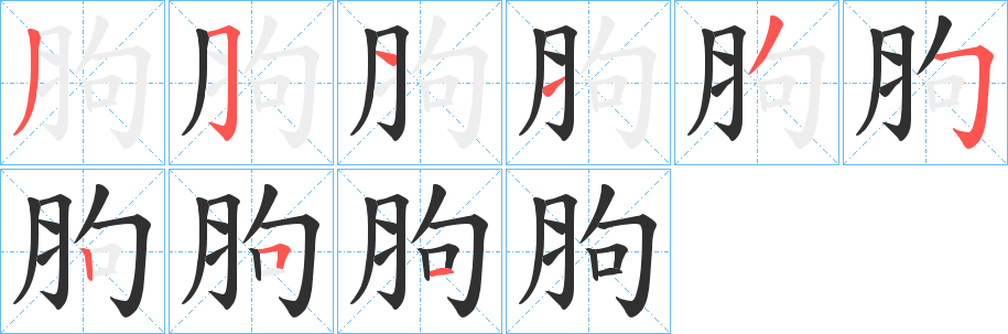 《胊》的笔顺分步演示（一笔一画写字）