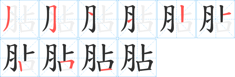 《胋》的笔顺分步演示（一笔一画写字）