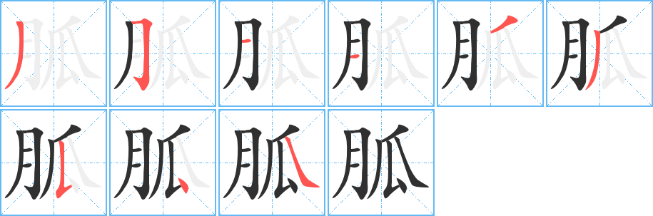 《胍》的笔顺分步演示（一笔一画写字）
