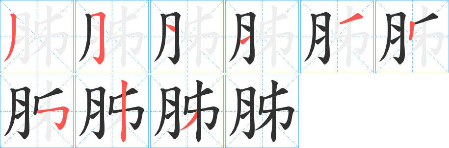 《胏》的笔顺分步演示（一笔一画写字）