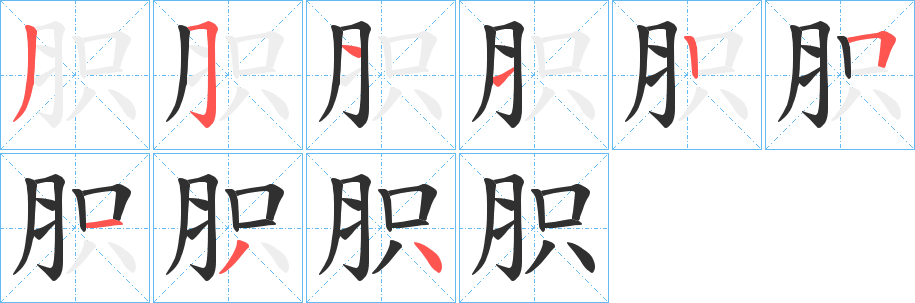 《胑》的笔顺分步演示（一笔一画写字）