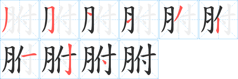 《胕》的笔顺分步演示（一笔一画写字）