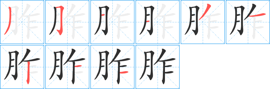《胙》的笔顺分步演示（一笔一画写字）