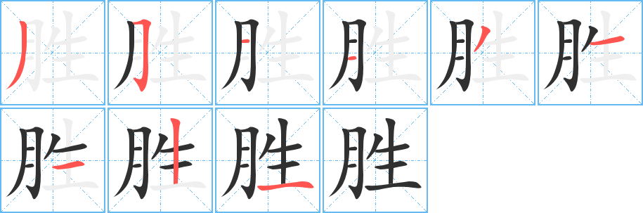《胜》的笔顺分步演示（一笔一画写字）