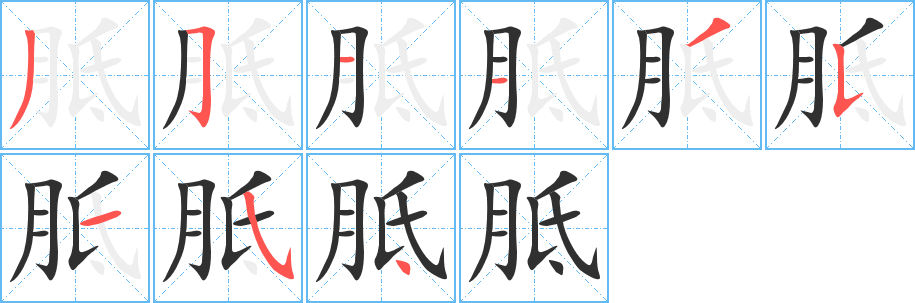 《胝》的笔顺分步演示（一笔一画写字）