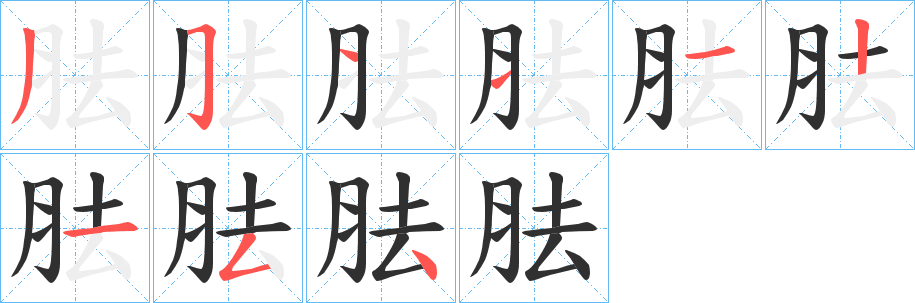 《胠》的笔顺分步演示（一笔一画写字）