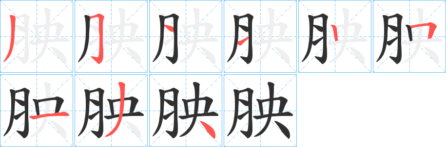 《胦》的笔顺分步演示（一笔一画写字）