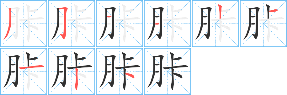 《胩》的笔顺分步演示（一笔一画写字）
