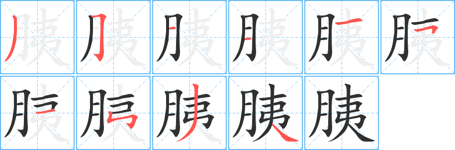 《胰》的笔顺分步演示（一笔一画写字）