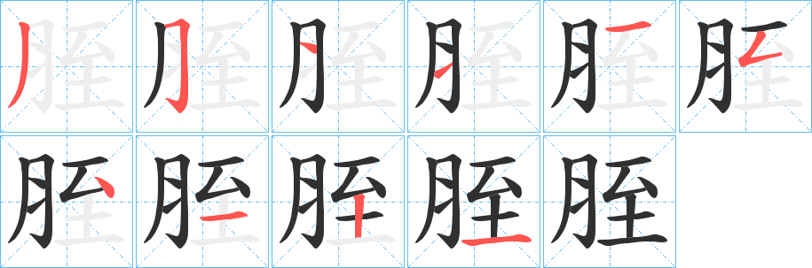 《胵》的笔顺分步演示（一笔一画写字）