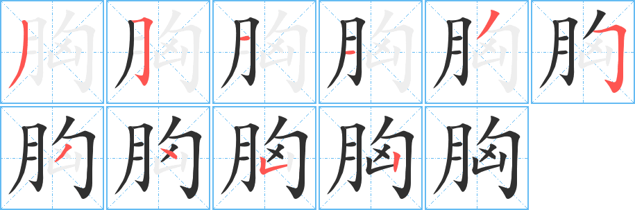 《胸》的笔顺分步演示（一笔一画写字）