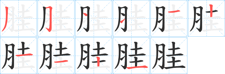 《胿》的笔顺分步演示（一笔一画写字）