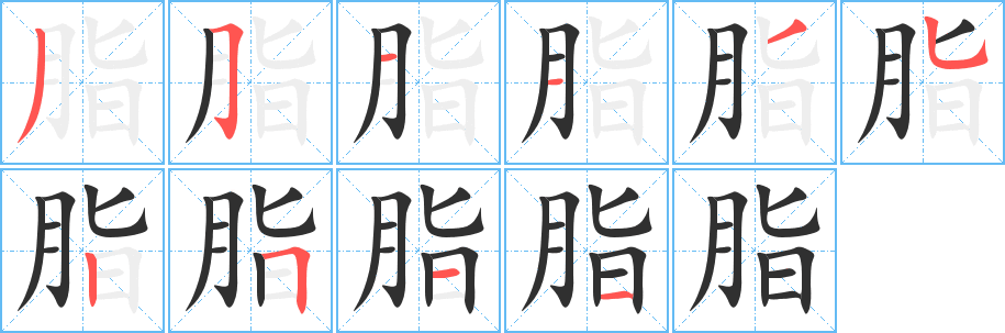 《脂》的笔顺分步演示（一笔一画写字）