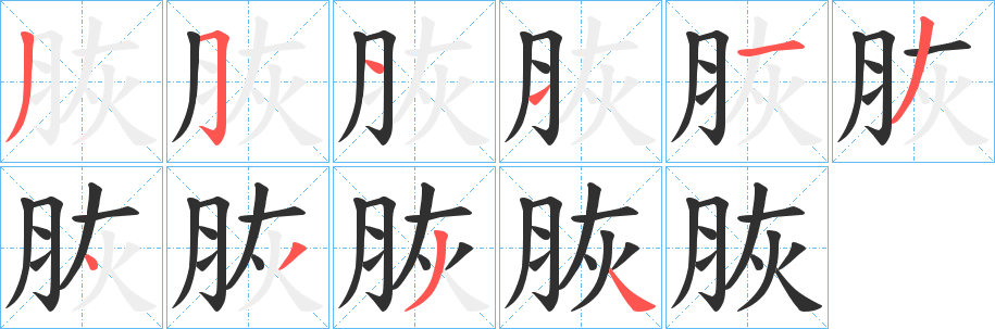 《脄》的笔顺分步演示（一笔一画写字）