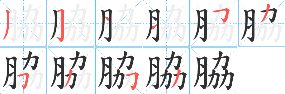 《脇》的笔顺分步演示（一笔一画写字）