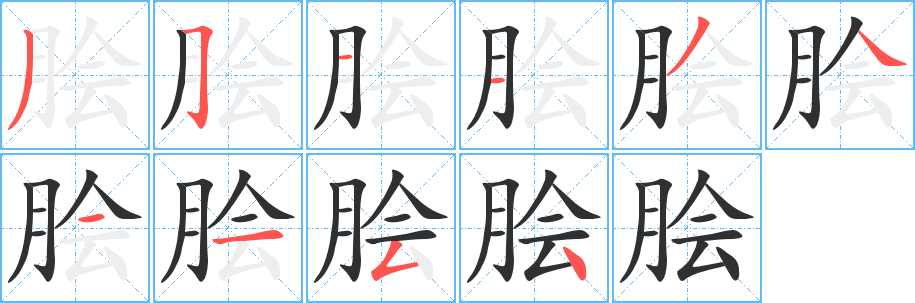 《脍》的笔顺分步演示（一笔一画写字）