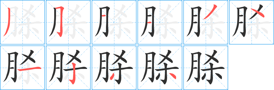 《脎》的笔顺分步演示（一笔一画写字）