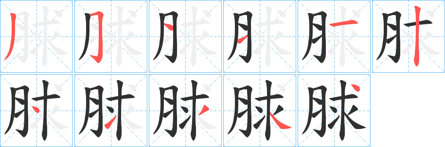《脙》的笔顺分步演示（一笔一画写字）