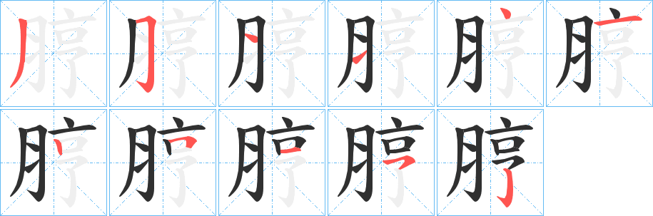 《脝》的笔顺分步演示（一笔一画写字）