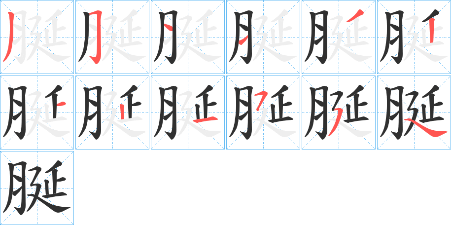 《脠》的笔顺分步演示（一笔一画写字）