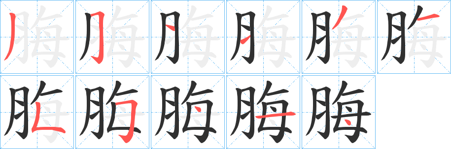 《脢》的笔顺分步演示（一笔一画写字）
