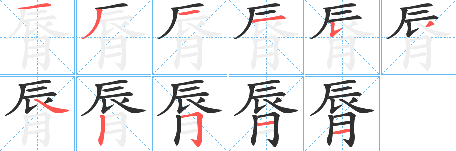 《脣》的笔顺分步演示（一笔一画写字）