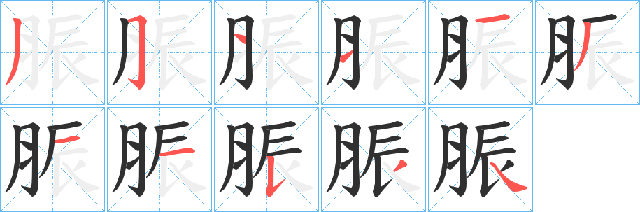 《脤》的笔顺分步演示（一笔一画写字）