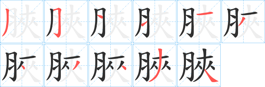 《脥》的笔顺分步演示（一笔一画写字）