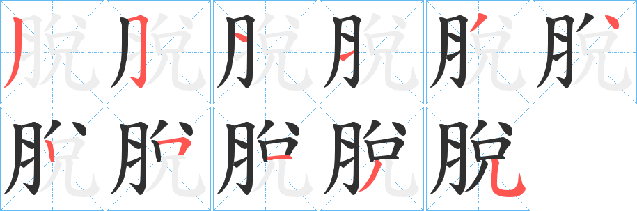 《脫》的笔顺分步演示（一笔一画写字）