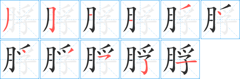 《脬》的笔顺分步演示（一笔一画写字）