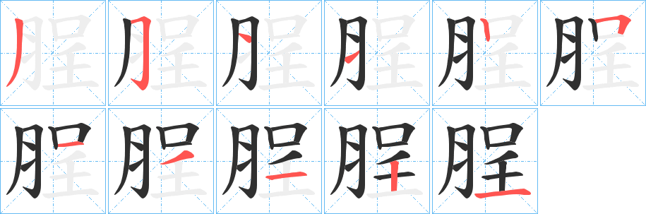 《脭》的笔顺分步演示（一笔一画写字）