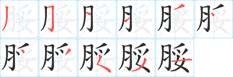 《脮》的笔顺分步演示（一笔一画写字）