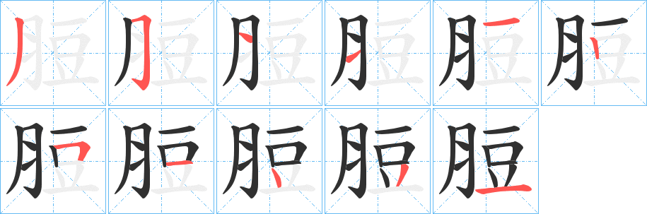 《脰》的笔顺分步演示（一笔一画写字）