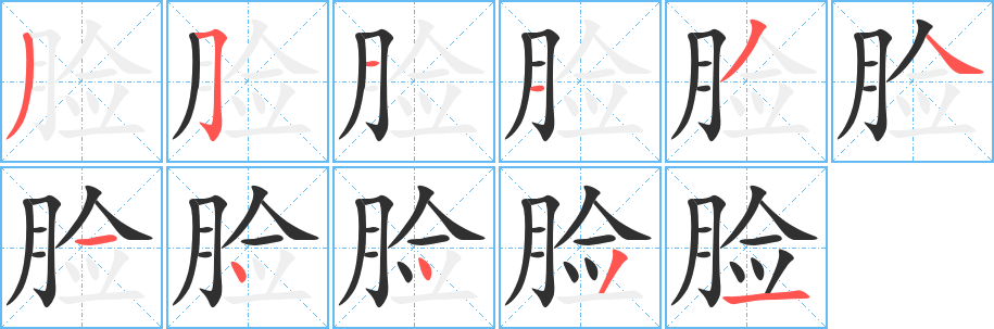 《脸》的笔顺分步演示（一笔一画写字）