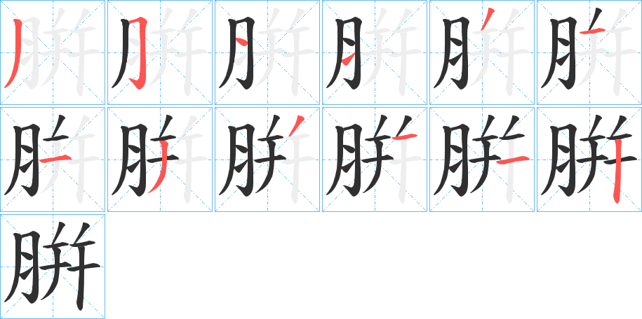 《腁》的笔顺分步演示（一笔一画写字）