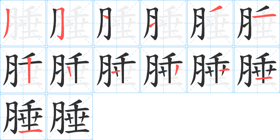 《腄》的笔顺分步演示（一笔一画写字）