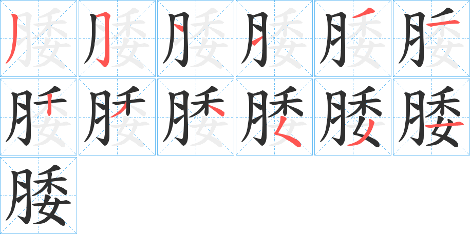 《腇》的笔顺分步演示（一笔一画写字）