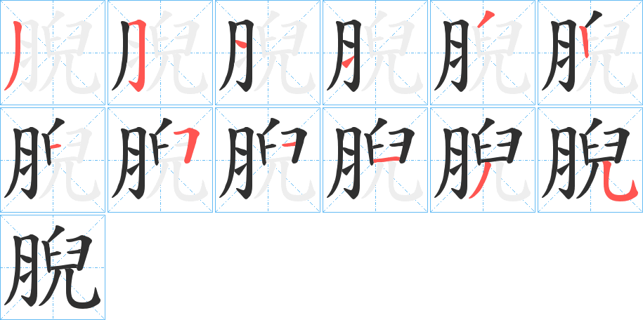 《腉》的笔顺分步演示（一笔一画写字）