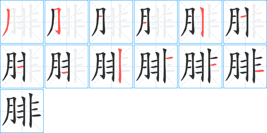 《腓》的笔顺分步演示（一笔一画写字）